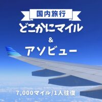 アソビュー（asoview!）の口コミ・評判｜JALどこかにマイルと組み合わせて旅をもっと楽しく